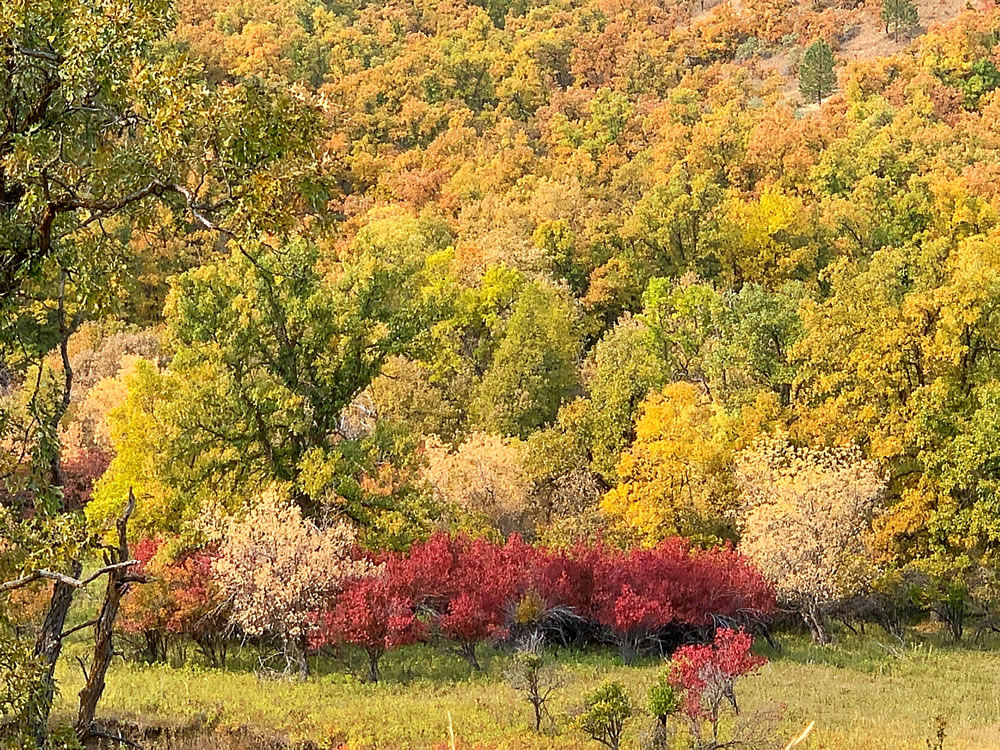 Hulett-Fall-Foliage